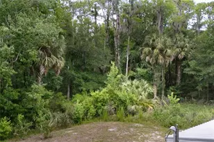 1528 Coconut Blvd, Bunnell, FL 32110 - Photo 30