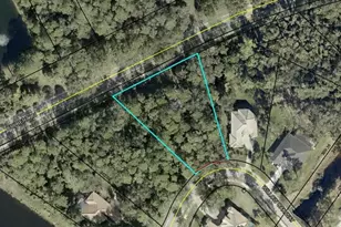 165 Willow Oak Way, Palm Coast, FL 32137 - Photo 1