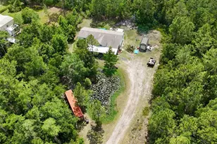 2094 Elder St, Bunnell, FL 32110 - Photo 54