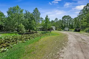 2094 Elder St, Bunnell, FL 32110 - Photo 2