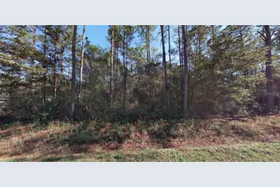 9910 Crotty Avenue, Hastings, FL 32145 - Photo 10