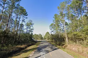 9910 Crotty Ave, Hastings, FL 32145 - Photo 1