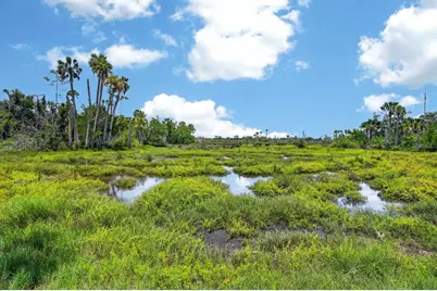 20 Covington Lane, Palm Coast, FL 32137 - Photo 48