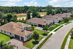 46 New Leatherwood Dr, Palm Coast, FL 32137 - Photo 54