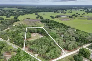 156 Kingfish Rd, Pomona Park, FL 32181 - Photo 2