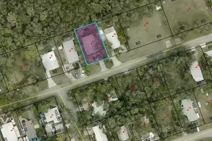 13 Magnolia Rd, Palm Coast, FL 32137 - Photo 22