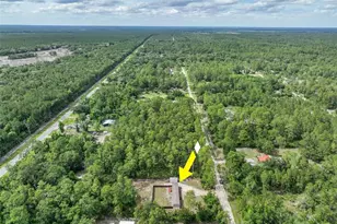 2860 Sandlewood Ln, Bunnell, FL 32110 - Photo 42