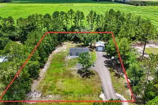 4825 Pecan Ave, Bunnell, FL 32110 - Photo 30
