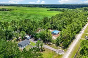 4825 Pecan Ave, Bunnell, FL 32110 - Photo 38