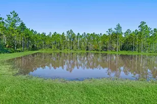 1341 Ribbon Pl, Palm Coast, FL 32164 - Photo 42