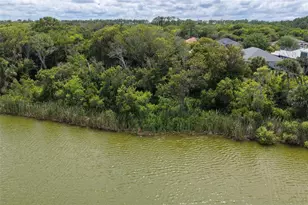 60 N Lakewalk Dr, Palm Coast, FL 32137 - Photo 54