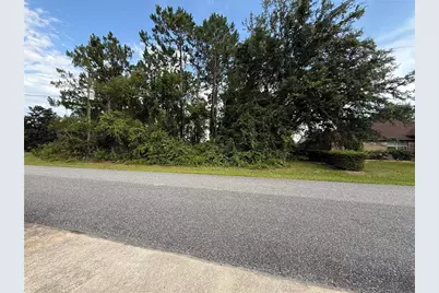 14 Ulawood Place, Palm Coast, FL 32164 - Photo 2