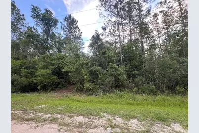 1411 Elder Street, Bunnell, FL 32110 - Photo 4