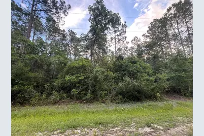 1411 Elder Street, Bunnell, FL 32110 - Photo 2