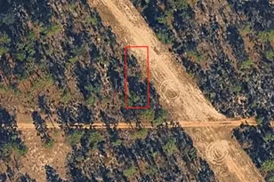 Xx Birch Ave, Interlachen, FL 32148 - Photo 1