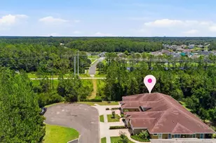 46 Heron Wing Dr, Ormond Beach, FL 32174 - Photo 70