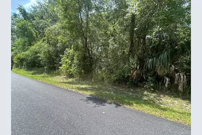 3118 E Deal Street, Inverness, FL 34453 - Photo 4