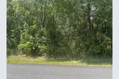 3118 E Deal Street, Inverness, FL 34453 - Photo 2