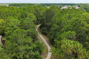 1117 Hansberry Ct, Ormond Beach, FL 32174 - Photo 30