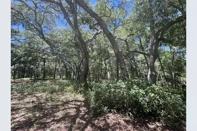 1425 Renbar Road, De Leon Springs, FL 32130 - Photo 16