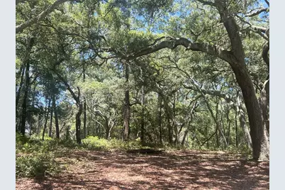 1425 Renbar Road, De Leon Springs, FL 32130 - Photo 4