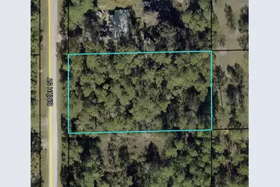 1115 Birch Street, Bunnell, FL 32110 - Photo 1