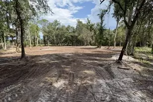 County Road 309, Crescent City, FL 32112 - Photo 1