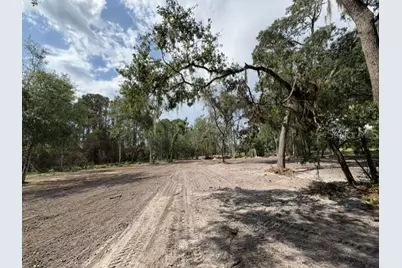 County Road 309, Crescent City, FL 32112 - Photo 2
