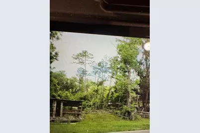 County Road 305, Bunnell, FL 32110 - Photo 2