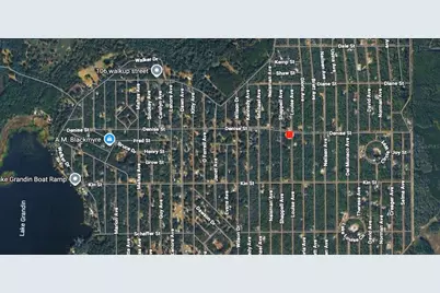 Interlachen Lakes Estates, Interlachen, FL 32148 - Photo 2