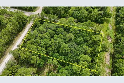 5446 Mango Avenue, Bunnell, FL 32110 - Photo 14