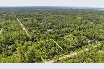 5446 Mango Avenue, Bunnell, FL 32110 - Photo 8