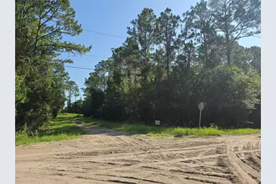 5446 Mango Avenue, Bunnell, FL 32110 - Photo 2