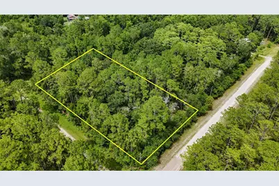 5446 Mango Avenue, Bunnell, FL 32110 - Photo 6