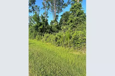 6 Ryberry Drive, Palm Coast, FL 32164 - Photo 1