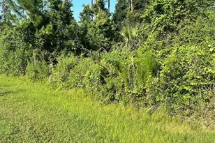 6 Ryberry Dr, Palm Coast, FL 32164 - Photo 1