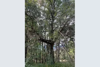 132 SW 52nd Avenue, Interlachen, FL 32148 - Photo 10