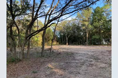 132 SW 52nd Avenue, Interlachen, FL 32148 - Photo 6
