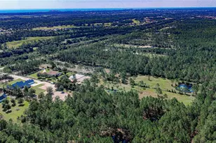 4345 Old Kings Rd N, Palm Coast, FL 32137 - Photo 72