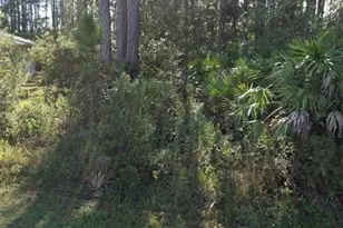 31 Red Clover Ln, Palm Coast, FL 32164 - Photo 1