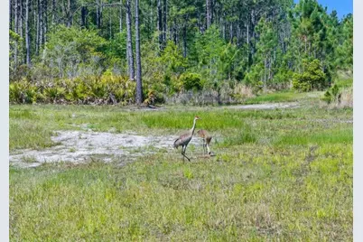 0 Carter Street, Bunnell, FL 32110 - Photo 4