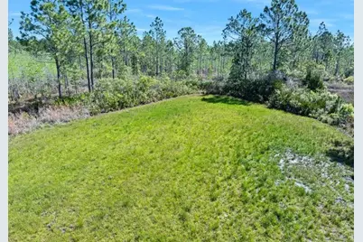 0 Carter Street, Bunnell, FL 32110 - Photo 8