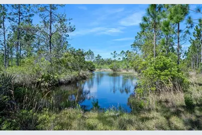 0 Carter Street, Bunnell, FL 32110 - Photo 14