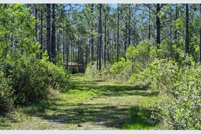 0 Carter Street, Bunnell, FL 32110 - Photo 16