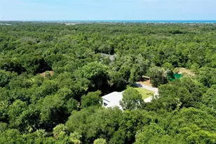 73 Bridle Ridge Ct, Flagler Beach, FL 32136 - Photo 70