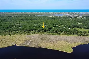 73 Bridle Ridge Ct, Flagler Beach, FL 32136 - Photo 74