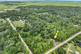 2318 Coconut Blvd, Bunnell, FL 32110 - Photo 52