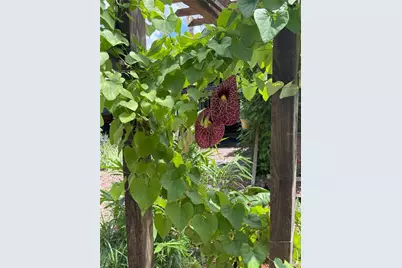 [Address not provided], Bunnell, FL 32110 - Photo 44