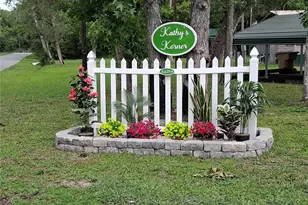 56314 Blue Creek Rd, Astor, FL 32102 - Photo 2