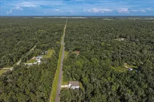 4856 Stephens St, Hastings, FL 32145 - Photo 56